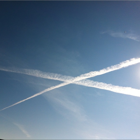 Meet your Posher, X. “X” is just my initial. - Picture 4 of 4